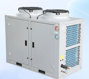 Cold Room Air Cooler for High Medium and Low Temperature Applications with German Bitzer Ecolin Compressor