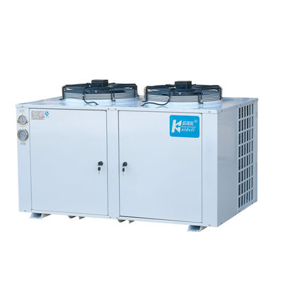 Düşük Sıcaklıklı Soğuk Depolama Soğutma Üniteleri Chiller Fit R22 Soğutucu Akışkan
